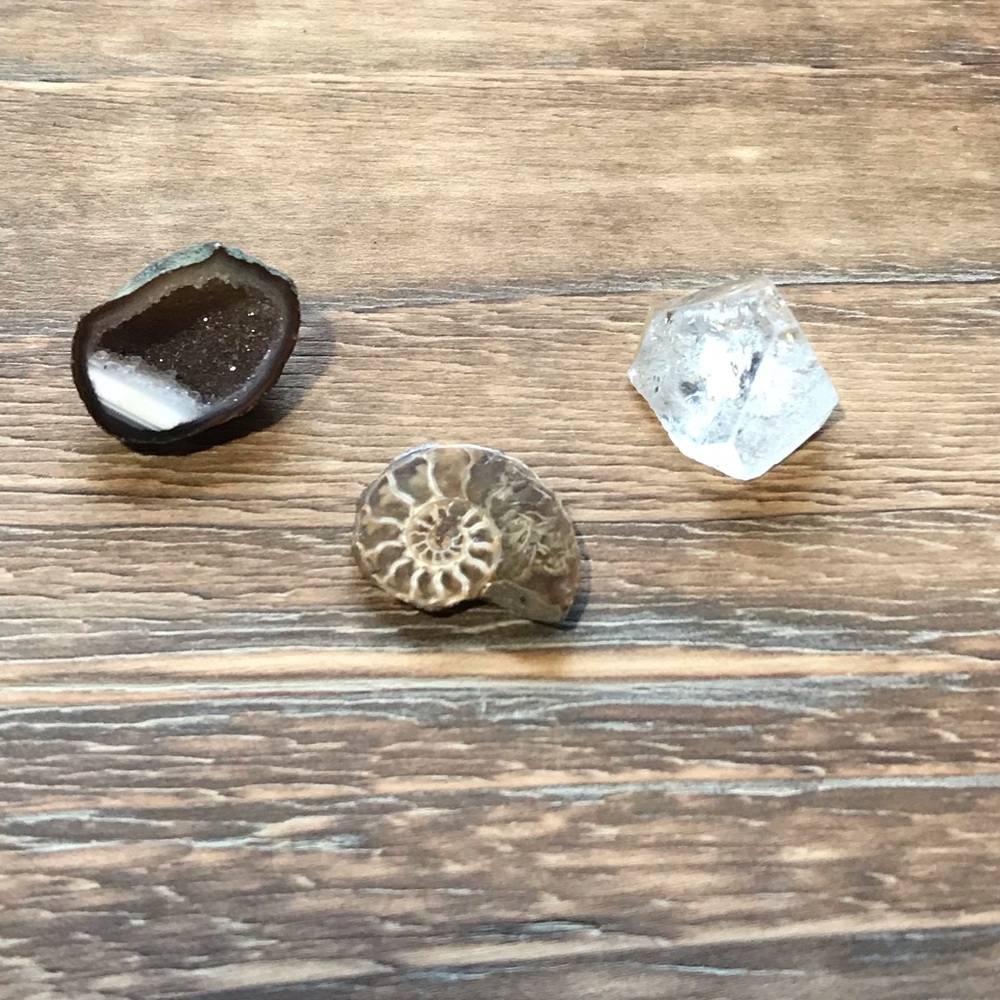 Herkimer Diamond,Geode,Ammonite